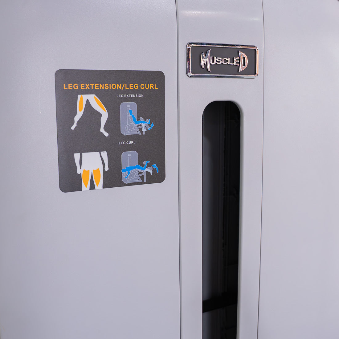 Vogue Leg Extension / Prone Leg Curl Combo | Commercial Gym Equipment | Muscle D